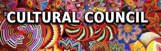 India Sudan Business and Cultural Council - Cultural Council